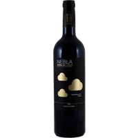 Nebla Tempranilo Ribera del Duero DO - Vincente Gandia