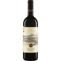 Negroamaro Salento IGP - Amastuola