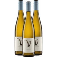 Steinbock Riesling - Weingut Hörner - 3x Vorteilspaket
