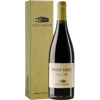 Pinot Nero Filippo Scienza - Vallarom