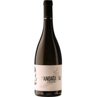 Pandataria Il Vino del Confino - Candidaterra