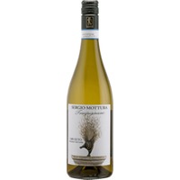 Tragugnano Orvieto - Sergio Mottura