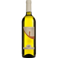 Falanghina Gran Tifeo Bianco - Cenatiempo