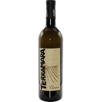 Malvasia Colli Piacentini Terramara - Camorali