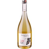 InSekt - Burgerhof Meßner