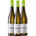 3x Vorteilspaket Grauburgunder trocken - Weingut Winter 
