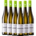 6x Vorteilspaket Grauburgunder trocken - Weingut Winter 