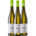 3x Vorteilspaket Riesling trocken - Weingut Winter 