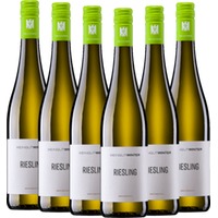 6x Vorteilspaket Riesling trocken - Weingut Winter