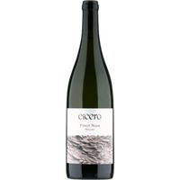 Rutishauser-Divino Cicero Pinot Noir Malans AOC Graubünden - - Bündner Herrschaft, Schweiz