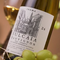 Sauvignon del Veneto Vulcaia