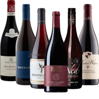6x Rebsortenpaket - Mit Pinot Noir um die Welt