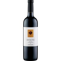Enate Cabernet Sauvignon DO Reserva