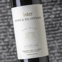 Áster Finca El Otero