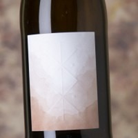 Anaïs Fanti Vina Loca