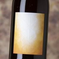 Anaïs Fanti Costa Rawa