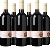 Merlot Vallagarina IGT