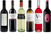 Degustationspaket Top 6 Mix Bodegas Rioja