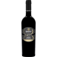 Lagrein Trentino DOC trocken - Gaierhof