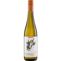 Stefan J. Schmitzer Sauvignon Blanc Pfalz Demeter Herrenhof