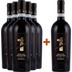 5+1 Paket Uno Premium Edition Primitivo di Manduria Riserva DOC - Tenuta Antonini Alessio 