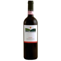 Matteo Correggia Roero DOCG - - Piemont, Italien