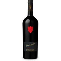 Baronesa P. Valle del Maipo