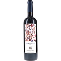 Viña Coqueta Reserva Remirez de Ganuza
