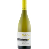 Blank Canvas Abstract Sauvignon Blanc