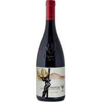 Vinupetra Viticentenarie Rosso Sicilia DOC - I Vigneri Salvo Foti