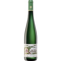 Weingut Maximin Grünhaus Grünhäuser Riesling trocken Erste Lage