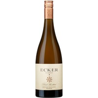 Grüner Veltliner Ried Mordthal