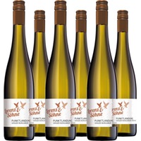 Grauer Burgunder QbA trocken Punktlandung