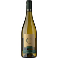 Collavini Chardonnay dei Sassi Cavi Collio DOC - - Friaul, Italien