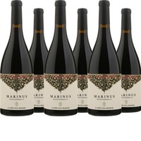 Il Conte Marinus Rosso Piceno Superiore DOP