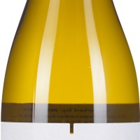 Sauvignon Blanc Stellenbosch