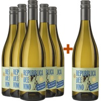 5+1 Repubblica del Vino Falerio DOC - Cantina Villa Pigna