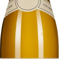 Sauvignon Blanc Hemel-en-Aarde Valley