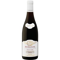 Mongeard-Mugneret Cuvée Sapidus Bourgogne AOC Pinot Noir 0,75 ℓ
