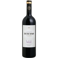 Salton Intenso Campanha DO Merlot 0,75 ℓ