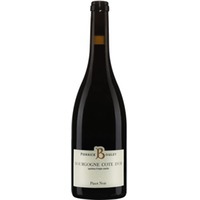 Pierrick Bouley Bourgogne Côte d'Or AOC Pinot Noir 0,75 ℓ