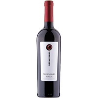 Losito e Guarini Dieci.Nove.Dieci Puglia IGT Negroamaro 0,75 ℓ