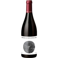 Louis Jadot Bourgogne Côte d'Or AOC 0,75 ℓ