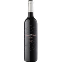Can Rich Negre Vino de la Tierra de Ibiza IGP 0,75 ℓ