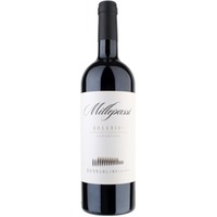 Donna Olimpia Millepassi Bolgheri Superiore DOC 0,75 ℓ