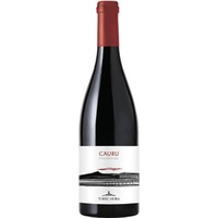 Torre Mora Cauru Etna Rosso DOC 0,75 ℓ