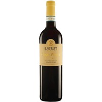 Ilatium Morini Campo Prognai Valpolicella Superiore DOC 0,75 ℓ