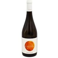 Bodegas Puiggros White Exedra DO Catalunya - Katalonien, Spanien