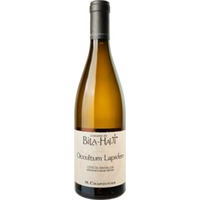 Occultum Lapidem Blanc - Domaine De Bila Haut - M. Chapoutier