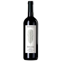 Bruno Rocca Barbera d'Alba